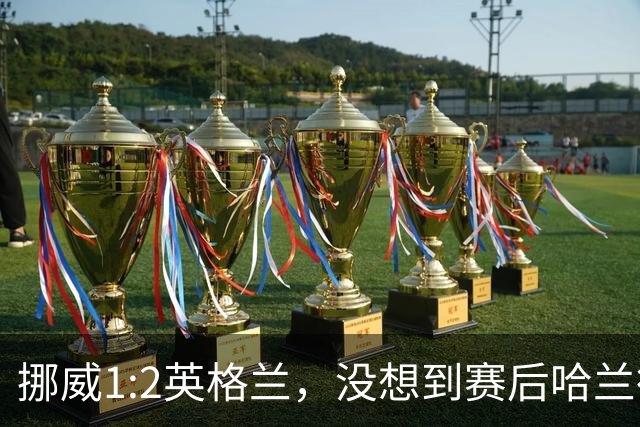 挪威1:2英格兰，没想到赛后哈兰德这样说，赢了巴西进了8强满足了