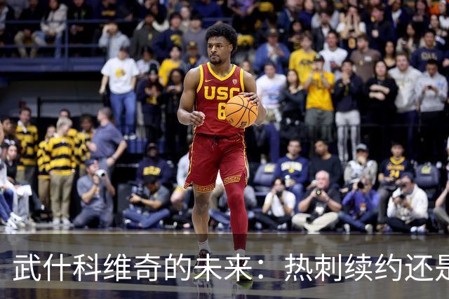 武什科维奇的未来：热刺续约还是豪门转会？